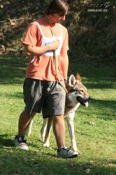 IMG_0102.jpg
