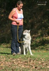 IMG_0137.jpg