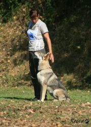 IMG_0144.jpg