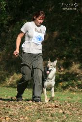 IMG_0147.jpg