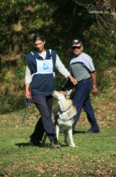 IMG_0166.jpg