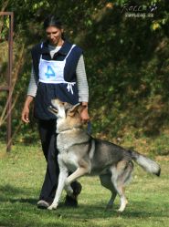 IMG_0172.jpg