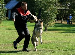 IMG_0255.jpg