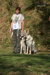 IMG_0273.jpg