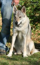 IMG_0312.jpg
