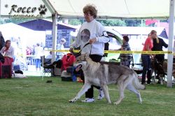 IMG_0853.jpg