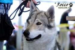 IMG_0862.jpg