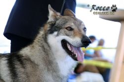 IMG_0879.jpg
