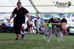 IMG_0885.jpg