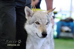IMG_0912.jpg