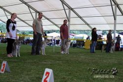 IMG_0916.jpg