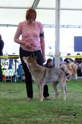 IMG_0950.jpg