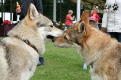 IMG_0967.jpg