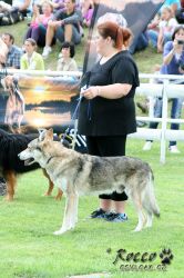 IMG_1070.jpg