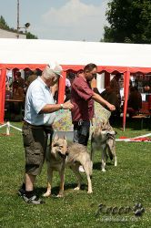 IMG_0683.jpg