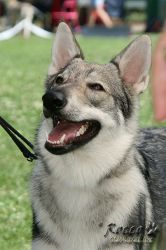 IMG_0697.jpg