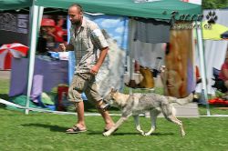 IMG_0700.jpg
