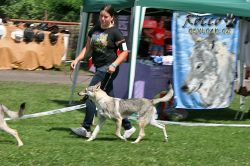 IMG_0701.jpg