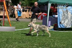 IMG_0702.jpg