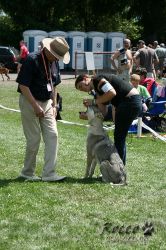 IMG_0731.jpg