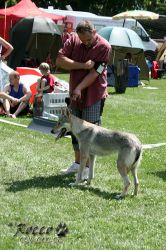 IMG_0732.jpg
