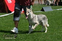 IMG_0737.jpg