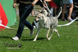 IMG_0738.jpg