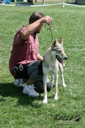 IMG_0745.jpg
