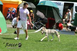 IMG_0751.jpg