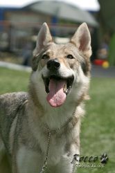 IMG_0753.jpg