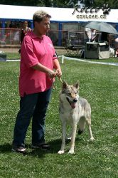 IMG_0768.jpg