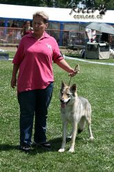 IMG_0769.jpg