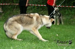IMG_0007.jpg