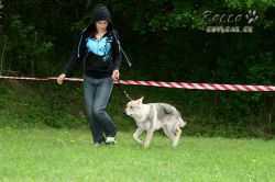 IMG_0008.jpg