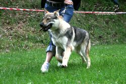 IMG_0010.jpg