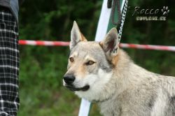 IMG_0035.jpg