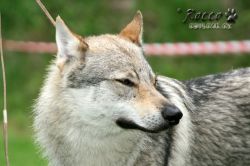 IMG_0040.jpg