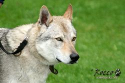 IMG_0147.jpg