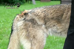 IMG_0154.jpg