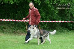 IMG_0168.jpg