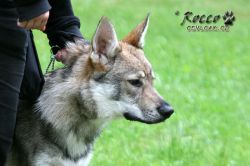 IMG_0179.jpg