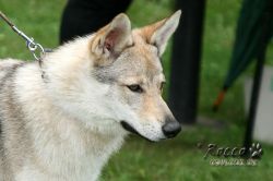 IMG_0187.jpg