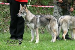 IMG_0193.jpg