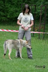 IMG_0237.jpg