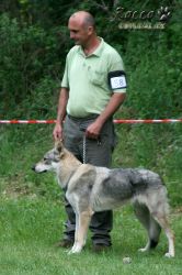 IMG_0238.jpg