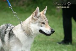 IMG_0280.jpg