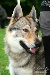carmin_kuklik02.jpg