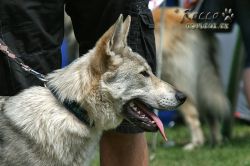 IMG_0355.jpg