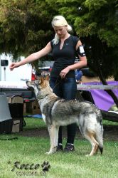 IMG_0381.jpg