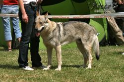 IMG_0397.jpg